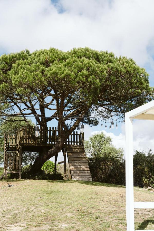 Dreamsea Surf Guest House Sintra Exterior foto